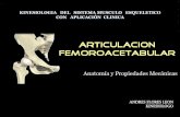 01 ANATOMIA Y PROPIEDADES MECANICAS.pdf