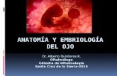 01. Embriología Del Ojo
