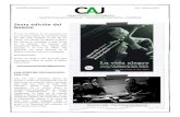 Boletín CAJ 06