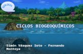 Ciclos Biogeoqu Micos-1