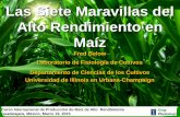 1. Las 7 Maravillas Del Alto Rendimiento (Below) Español
