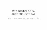 MICROBIOLOGIA AGROINDUSTRIAL