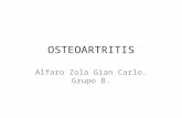 INTRODUCCION OSTEOARTRITIS