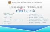 Indicadores Financ. Citibank Final (2)