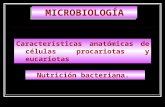 Introduccion a la microbiologia