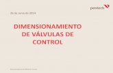 CURSO DE VALVULA GERARDO4.pdf