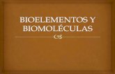 C3. BiomolÃ©lucas. parte 1