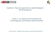 Cap i Tema II Cadena de Transmision Del Chikungunya