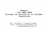 ISO 9001  2008 Alejandro Penabad.ppt