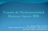 Comité  de  Morbimortalidad Materna agosto 2011.ppt