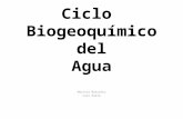 Ciclo Biogeoquímico Del Agua