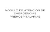 Bases Legales de la AtenciÃ³n Prehospitalaria en Venezuela.ppt