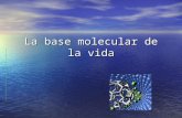 1La Base Molecular de La Vida 1