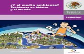 ¿Y el medio ambiente? Problemas en México y el mundo (DCN_M4_A2_C1)
