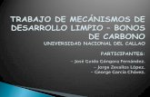 Trabajo de Mecánismos de Desarrollo Limpio - Bonos George Garcia