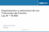 Org. y Estructura Tirbunales de Familia