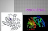 Proteinas y Lipidos