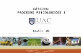 Catedra Procesos Psicologicos 01