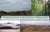 1.3 Ecosistemas Peru