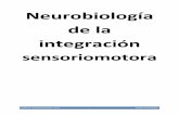 Tema 1,2,3,4,5, 6I, 6II Neurobiología de la integración sensoriomotora