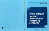 Castro Pozo: Nación, modernización endógena y socialismo