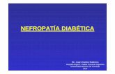 6- Nefropatia Diabetica 2014