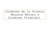 Síndrome de La Primera Neurona Motora o Síndrome