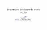 Charla Prevencion Del Riesgo Lesion Ocular