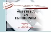 anestesia en endodoncia