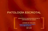 Tema 8 Patología Escrotal.ppt