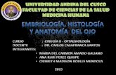 Embriología, Histología y Anatomía Del Ojo