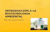 1 Introduccion a La Biotecnologia Ambiental