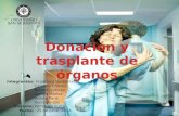 Donacion y Trasplante Organos (1) (1)