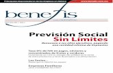 Administracion - Revistas - Prevision Social