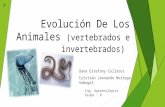 LA EVOLUCIÓN DE LOS ANIMALES