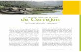 Jaramillo C Et Al 2014 Diversidad Fosil Valle Del Cerrejon