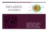 Influenza AH1N1