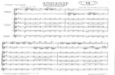 Andante del concierto en SolM (A. Vivaldi) Arr. Rivoal.pdf
