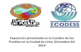 Exposicion Cumbre de Los Pueblos