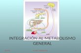 Integración Al Metabolismo General