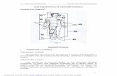 Guia Anatomia Humana 140410221237 Phpapp01