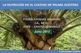 PRINCIPIOS DE NUTRICIÓN EN PALMA ACEITERA.pptx