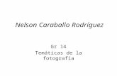 Nelson Caraballo tematica.pptx