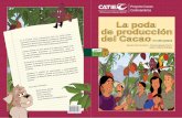 Catie - PCC 4. La Poda de Producción Del Cacao en Seis Pasos