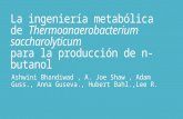 La ingeniería metabólica de Thermoanaerobacterium saccharolyticum corregido