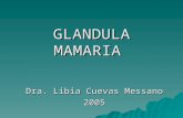 Anatomia Glandula Mamaria