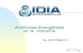 Auditoria Energetica en La Industria