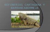 REFINERÍAS CARTAGENA Y BARRANCABERMEJA (1).pptx