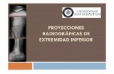 Clase 6 Proyecciones  de extremidad inferior (Práctico RDI).pdf