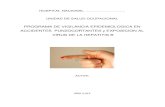Modelo Programa Vigilancia Salud Ocupacional (1).pdf